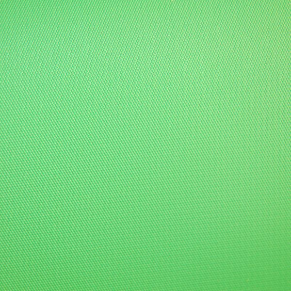 Savage Infinity Vinyl Background - 10  x 10  46 Chroma Green For Discount