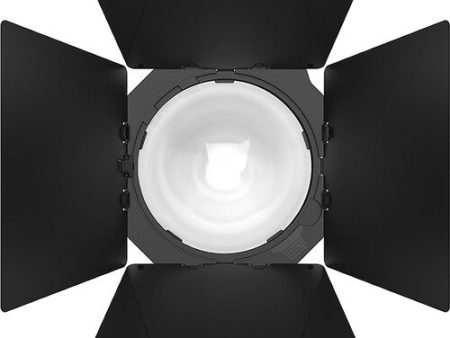 Aputure CF12 Barn Doors for CF12  Fresnel Hot on Sale