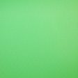 Savage Infinity Vinyl Background - 10  x 10  46 Chroma Green For Discount