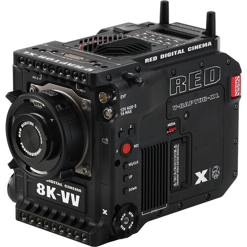 RED DIGITAL CINEMA V-RAPTOR XL [X] 8K VV Production Pack with Rigid-Hinge Touch 7  (Gold Mount) Online Sale