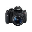 Canon EOS Rebel T6i DSLR Camera with 18-55mm Lens Cheap