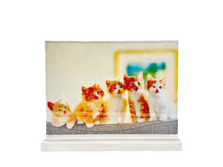 Acrylic Double sided tabletop Picture Frame - Horizontal - 10x8 For Sale