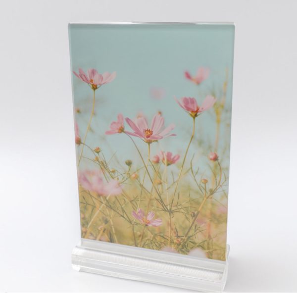 Acrylic Double sided tabletop Picture Frame - Vertical - 4x6 Supply