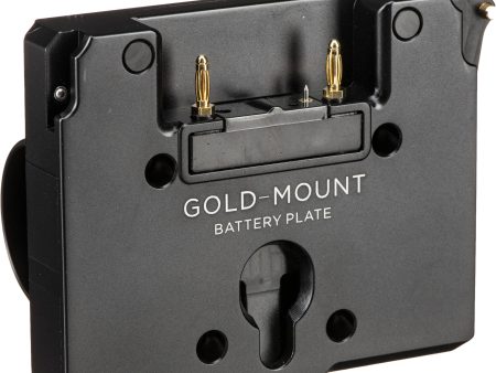 Tilta Battery Plate for DJI RS 2 Ring Grip (Gold Mount) For Cheap